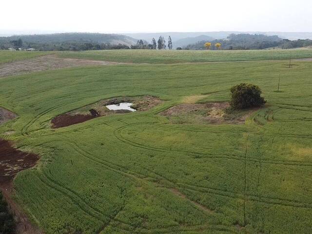 Venda em AREA RURAL - Candói