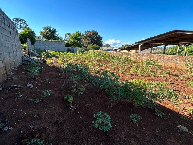 Área para Venda em Candói - 4